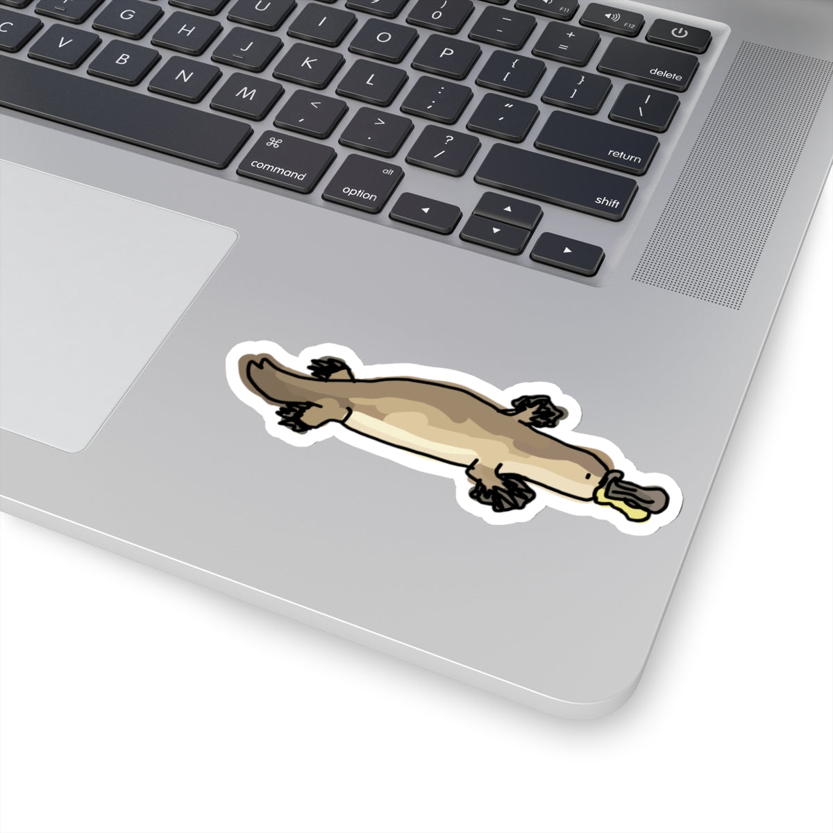 platypus sticker