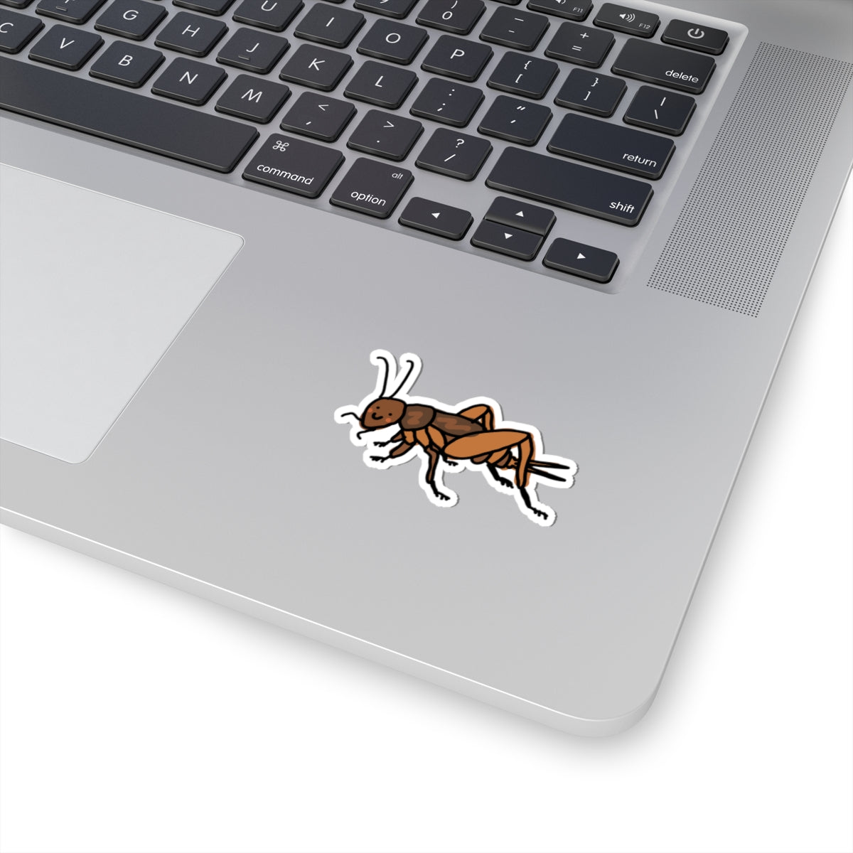 happy cricket sticker