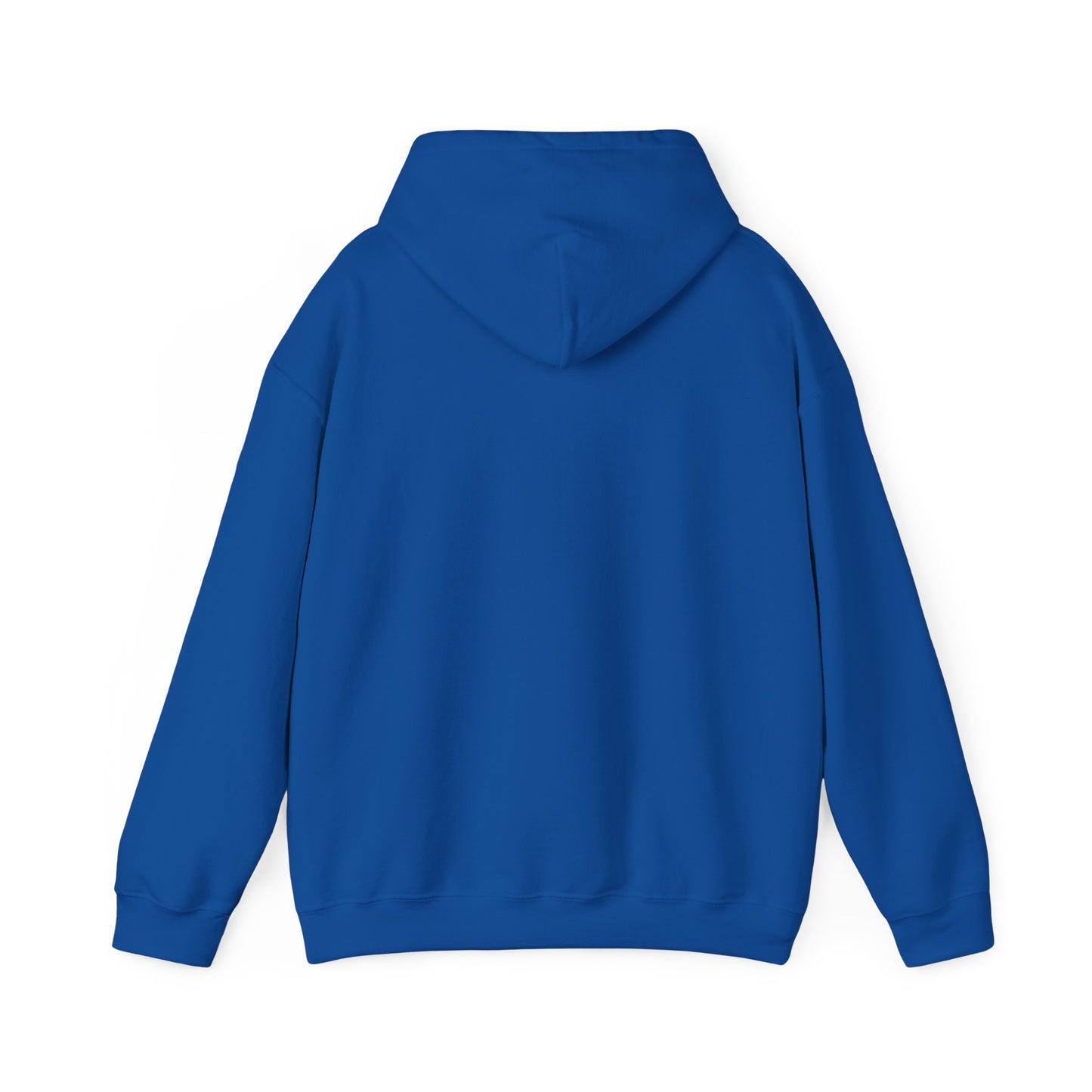 blizzy hoodie