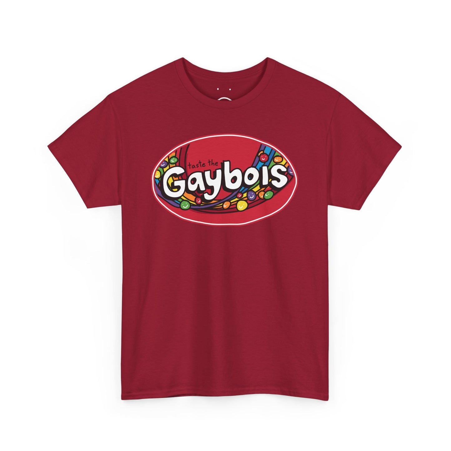 gaybois rainbow tee