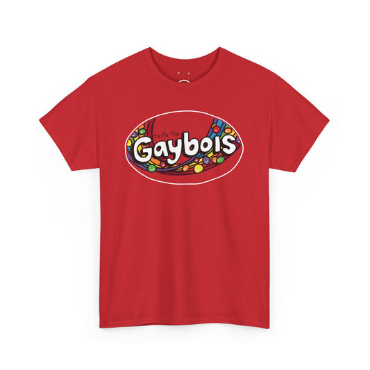 gaybois rainbow tee