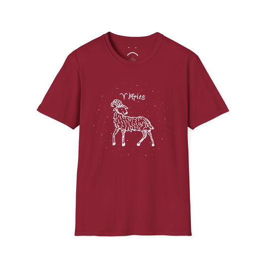 aries zodiac tee