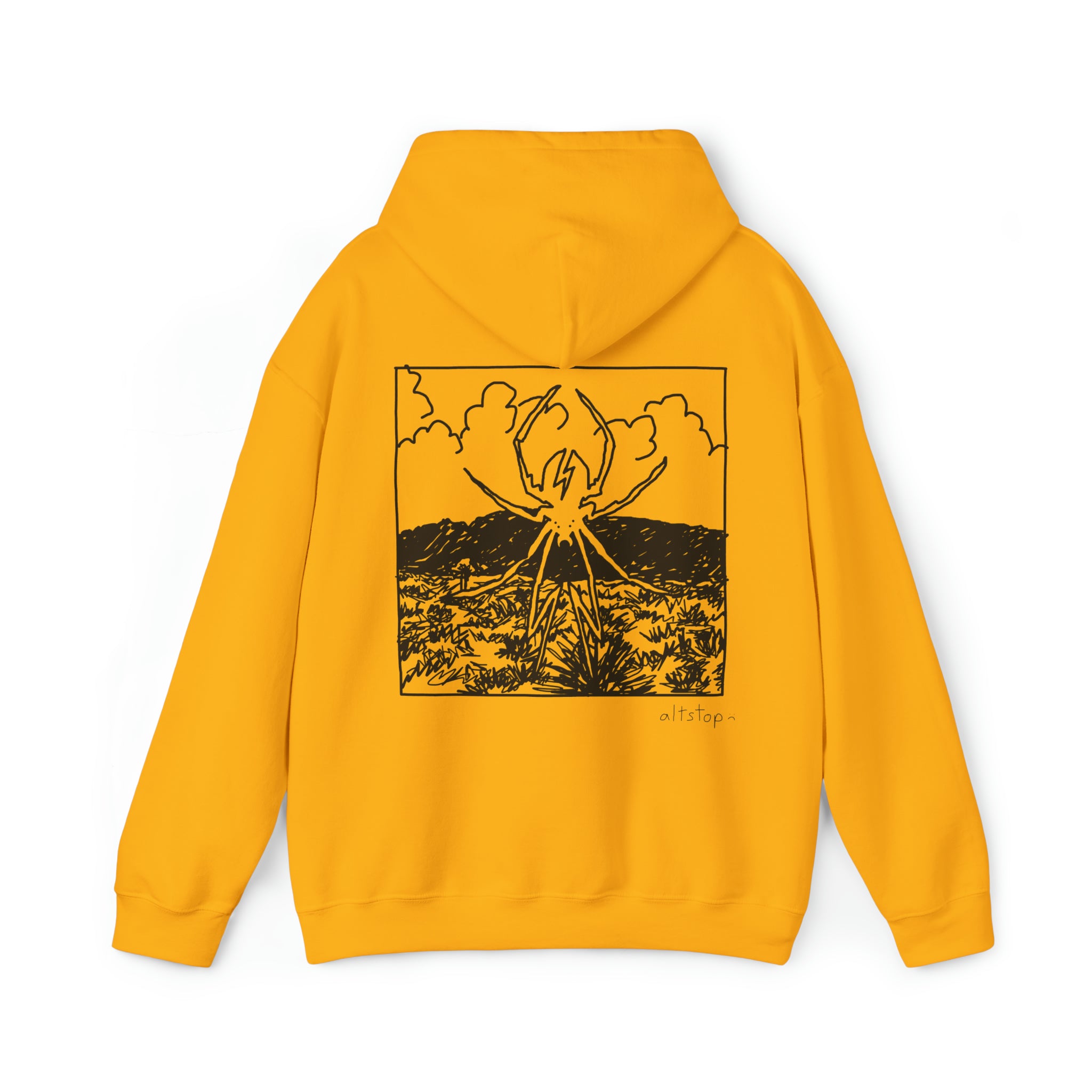 danger days hoodie altstop